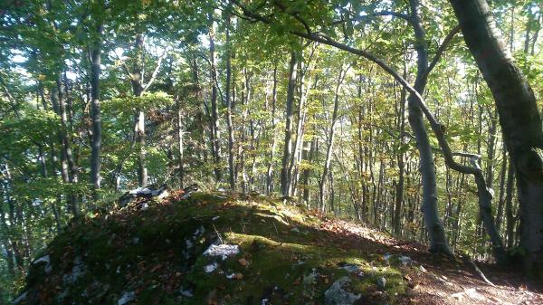 INDIA: MLADÁ KRESŤANKA USMRTENÁ SVOJIM SNÚBENCOM